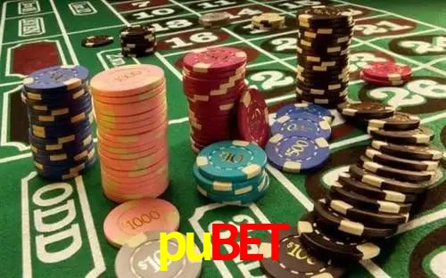 APP oficial da pubet para mobile
