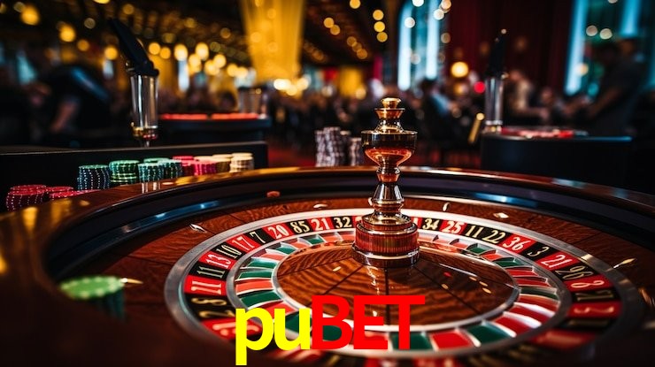 Security Systems pubet